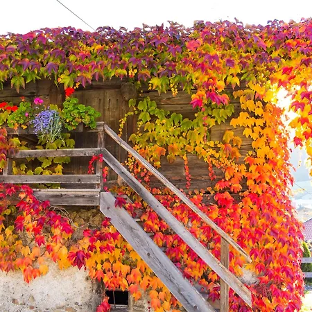 Appartamento Brix Pichl (Zell am See)