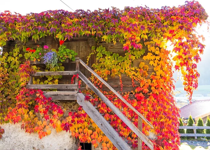 Daire Brix Pichl (Zell am See)