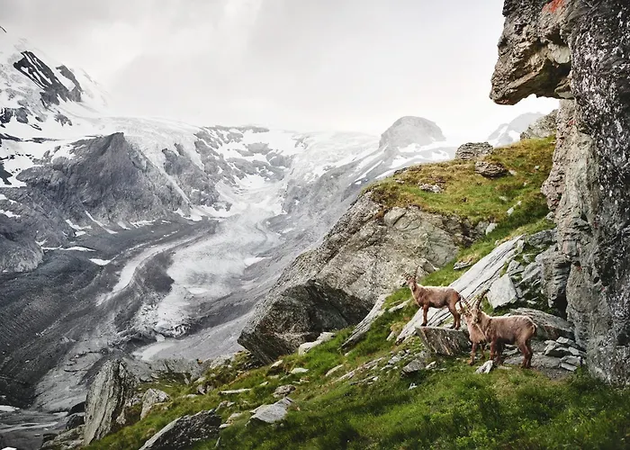 Brix Pichl (Zell am See)